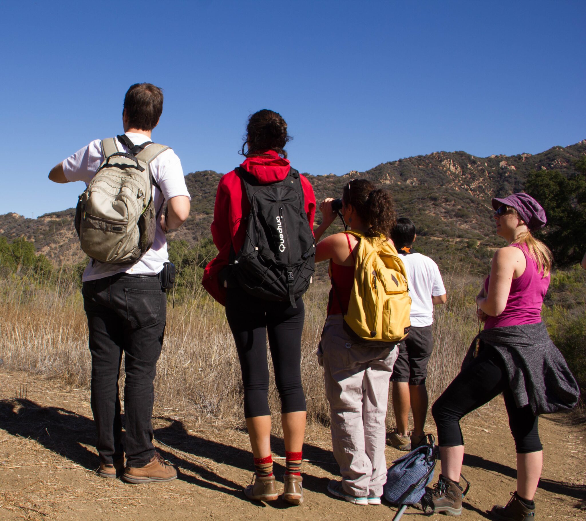 What is Happening at Stunt Ranch Reserve? – Stunt Ranch Reserve