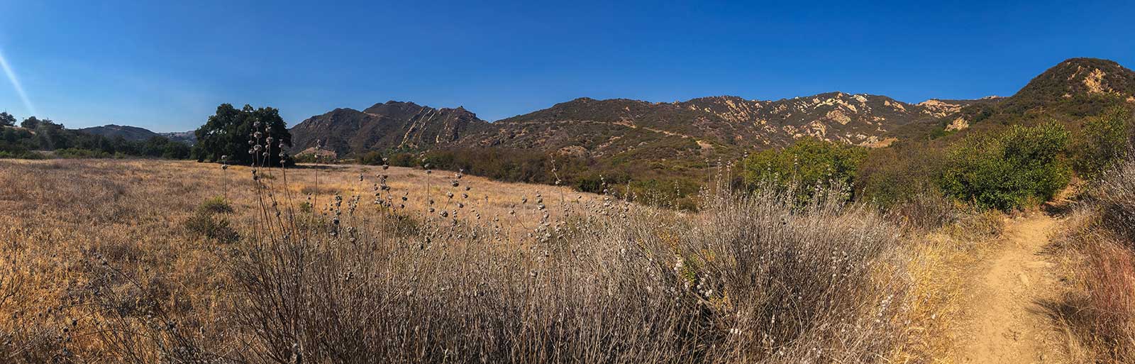 Stunt Ranch