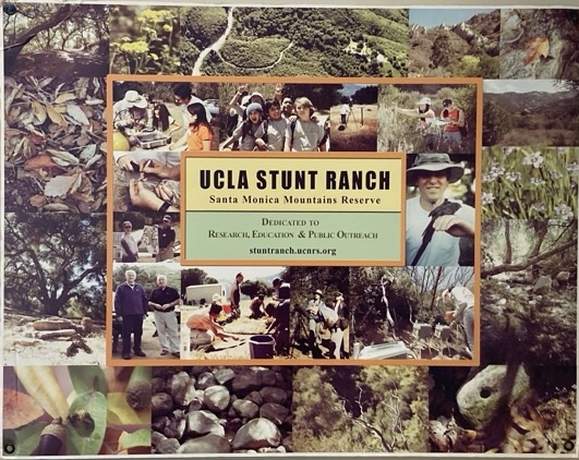 Stunt Ranch Reserve lies on land that marked the interface between two native Californian tribes