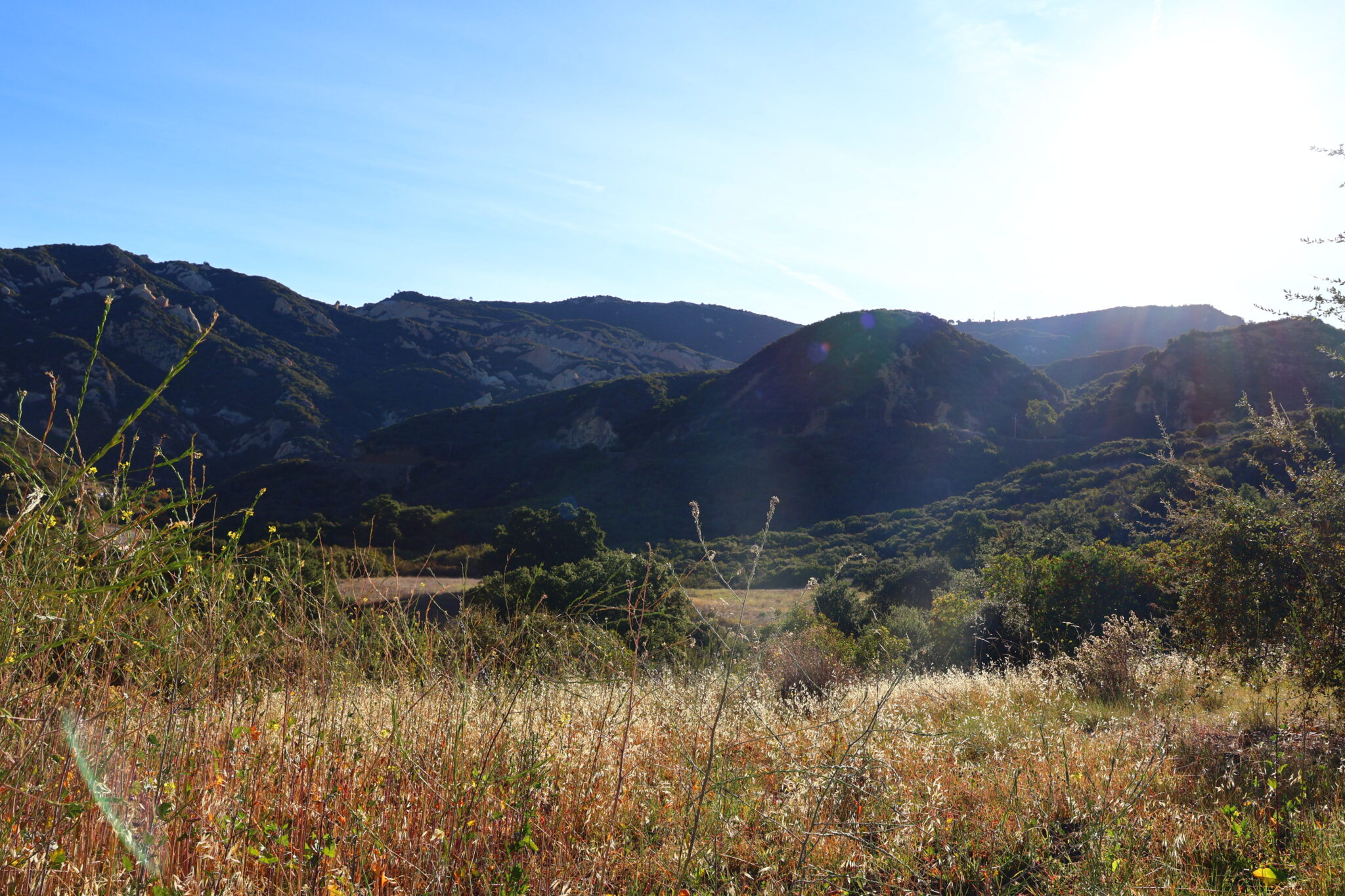Visiting – Stunt Ranch Reserve