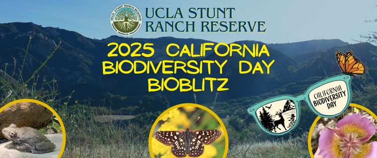 Stunt Ranch Reserve California Biodiversity Day Bioblitz – Stunt Ranch ...